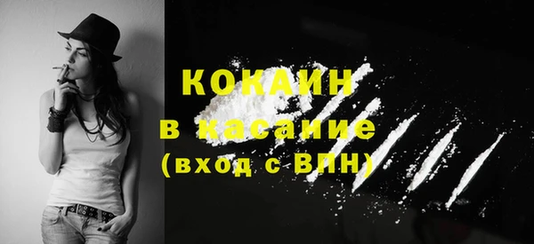 сатива Алзамай