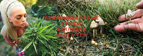 сатива Алзамай
