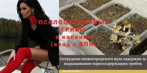 скорость Алексин